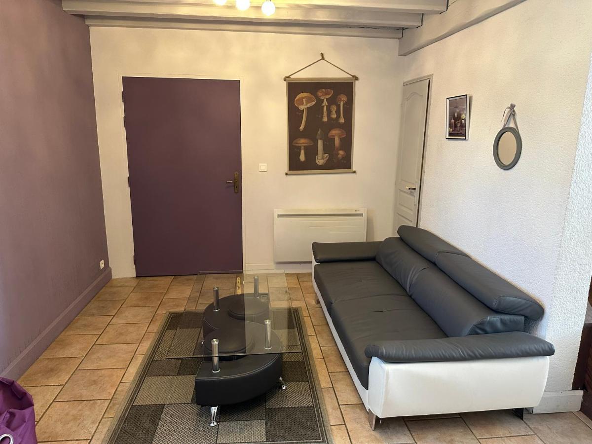 Chambres D'Hotes Du Puy D'Anche Sauzé-Vaussais エクステリア 写真